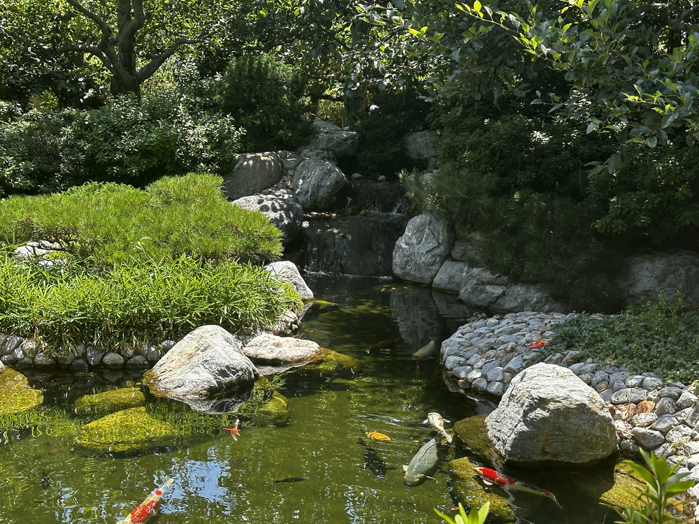 Waterfall Pond